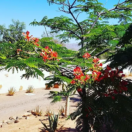 El Lomo - Abseits Vom Massentourismus Willa Triquivijate