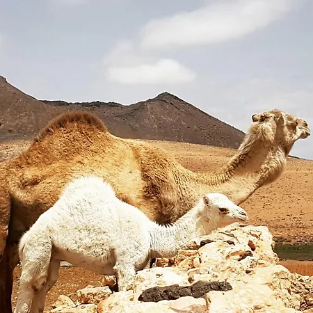 فيلة El Lomo - Abseits Vom Massentourismus