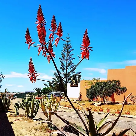 El Lomo - Abseits Vom Massentourismus فيلة Triquivijate