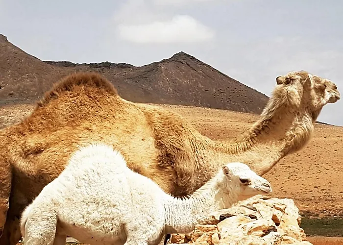 Villa El Lomo - Abseits Vom Massentourismus