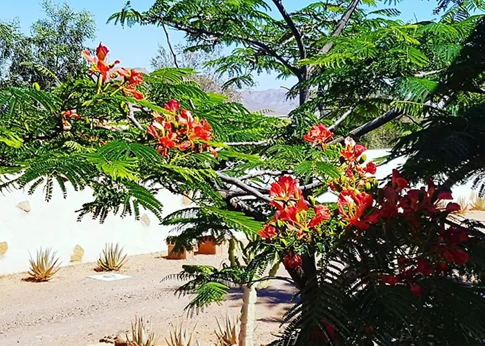 El Lomo - Abseits Vom Massentourismus Villa Triquivijate