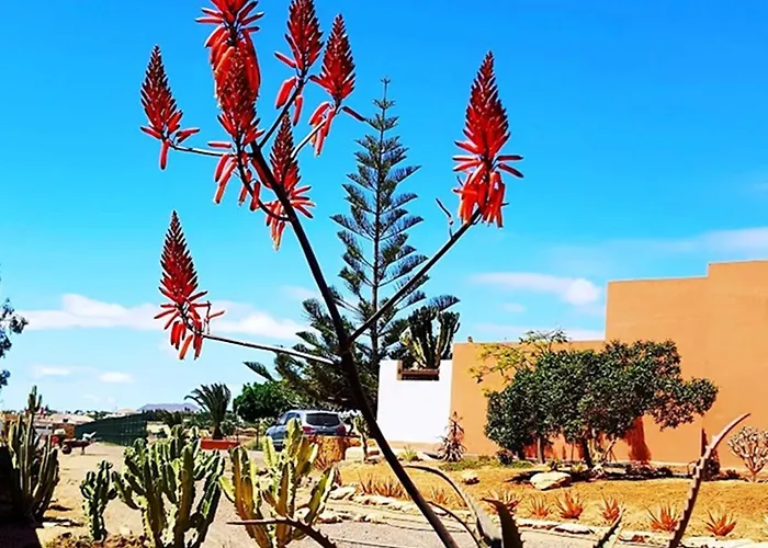 El Lomo - Abseits Vom Massentourismus Villa Triquivijate